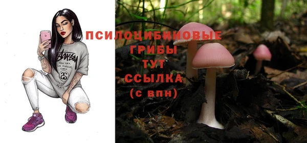 дживик Баксан