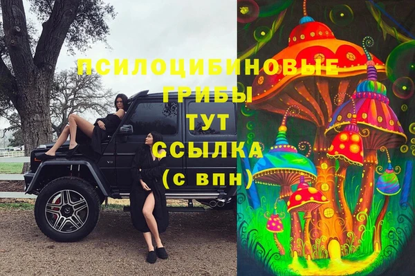 дживик Баксан