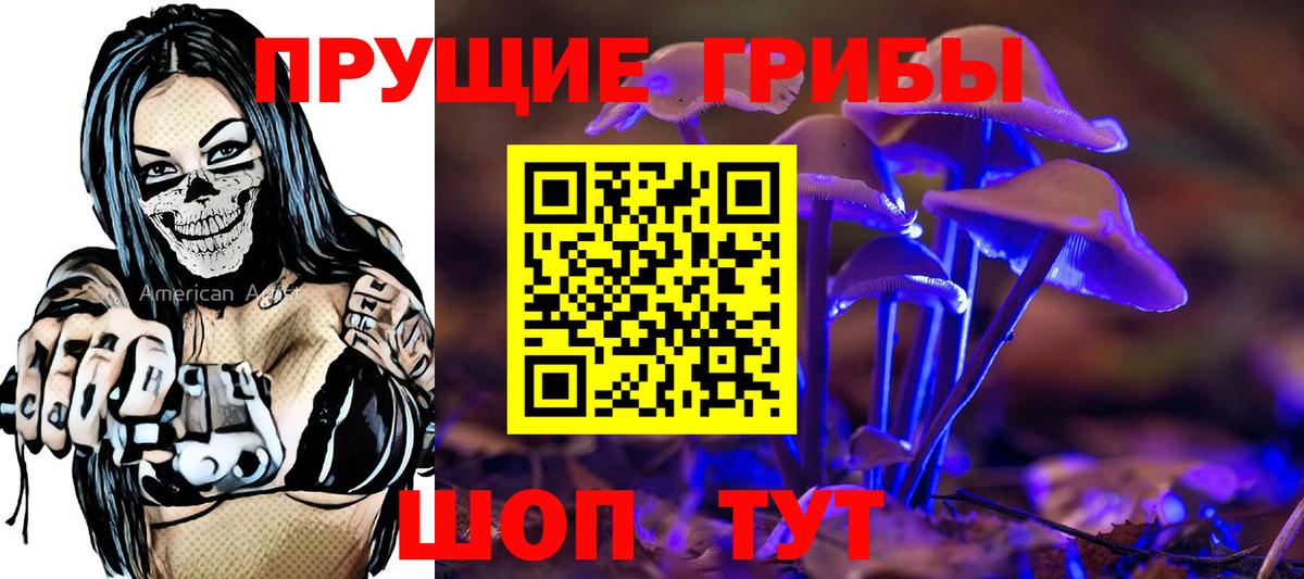 Псилоцибиновые грибы прущие грибы Ковров