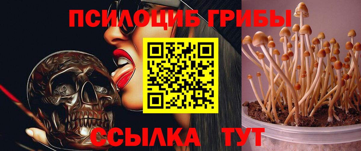 Ковров  Галлюциногенные грибы Psilocybine cubensis  Псилоцибиновые грибы Psilocybe  продажа наркотиков  Вход с VPN 