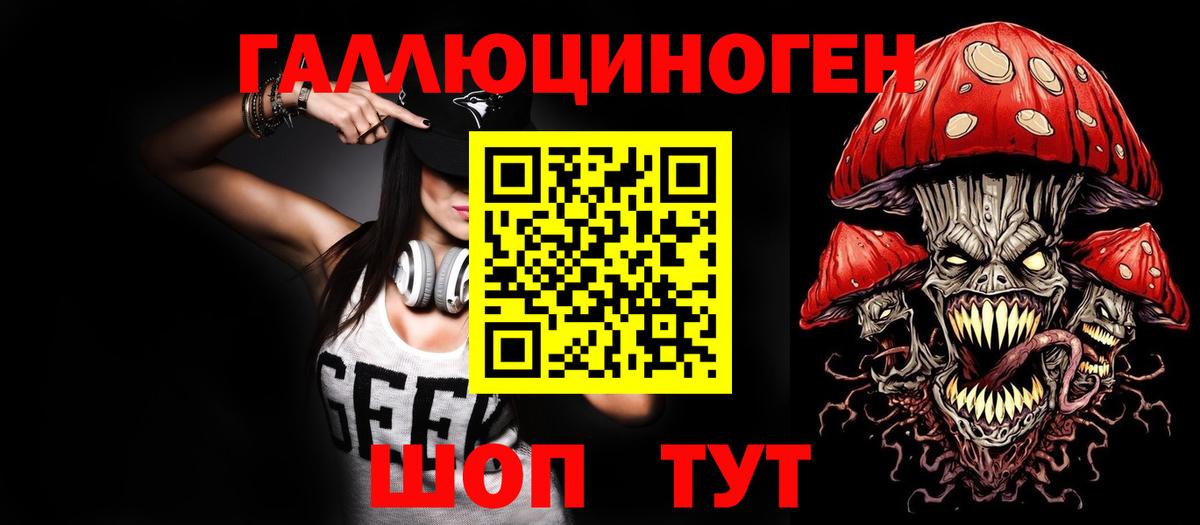 где купить наркоту  Псилоцибиновые грибы Magic Shrooms  Ковров  Галлюциногенные грибы GOLDEN TEACHER 