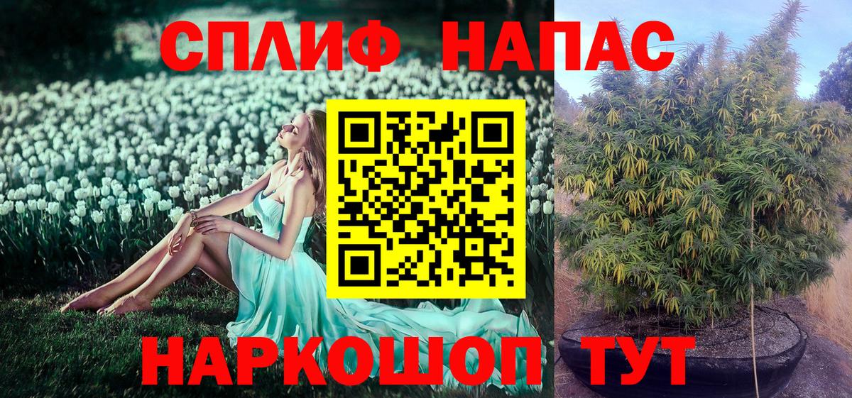 Каннабис сатива Ковров